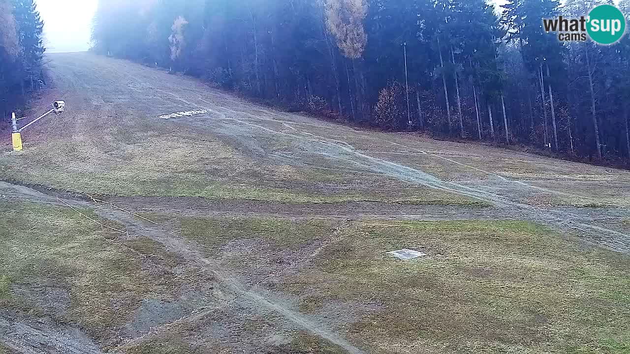 Spletna Kamera Pohorje Trikotna Jasa | Poštela