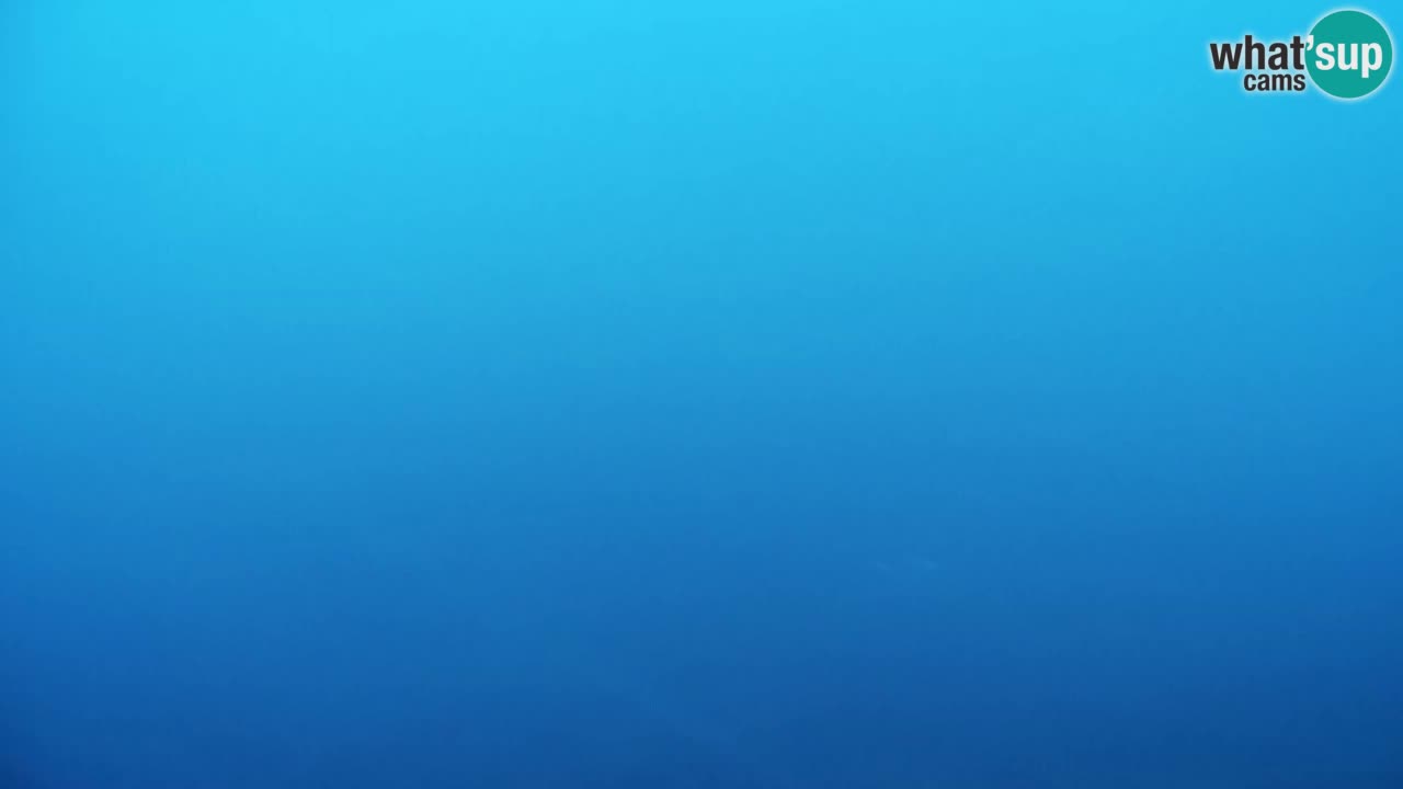 Webcam Pohorje Trikotna Jasa | Poštela