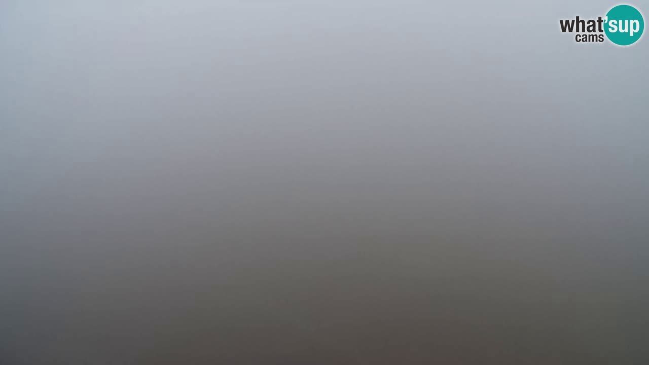 Webcam Pohorje Trikotna Jasa | Poštela