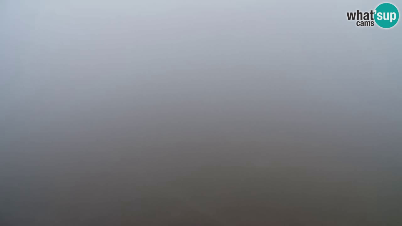 Web kamera Pohorje Trikotna Jasa | Poštela