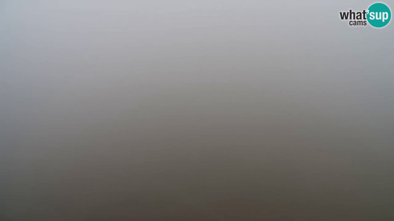 Webcam Pohorje Trikotna Jasa | Poštela