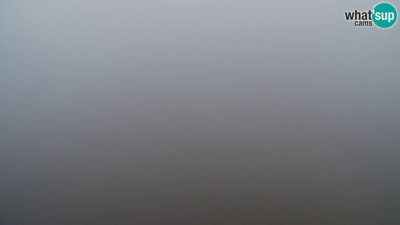 Web kamera Pohorje Trikotna Jasa | Poštela