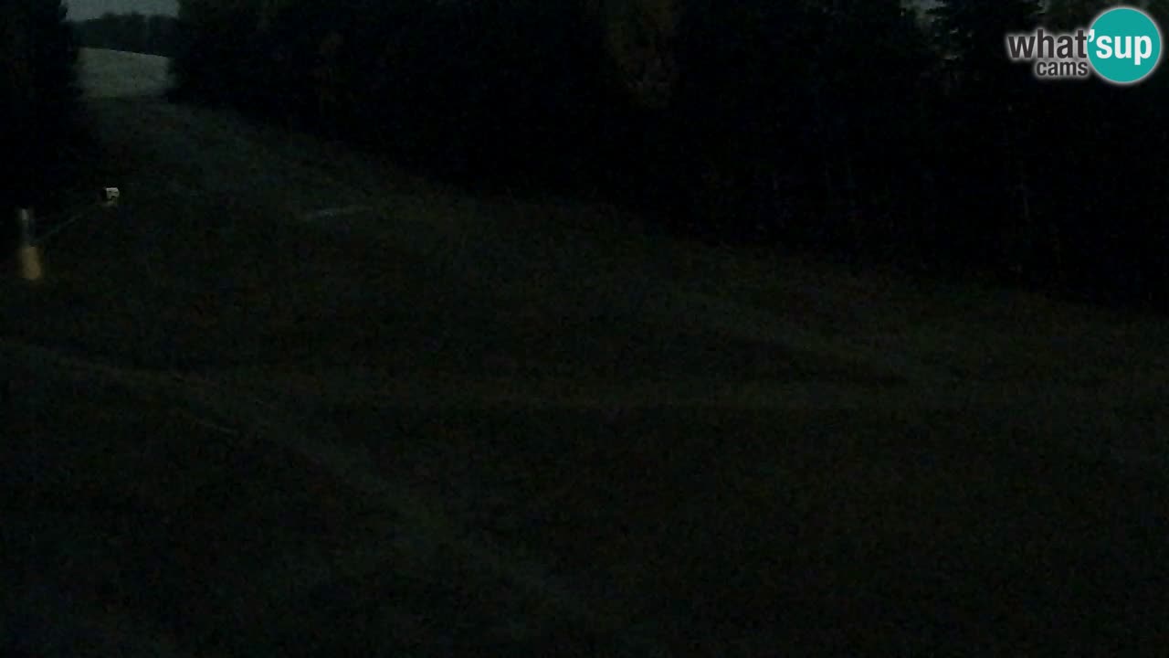 Web Camera Pohorje Trikotna Jasa | Poštela