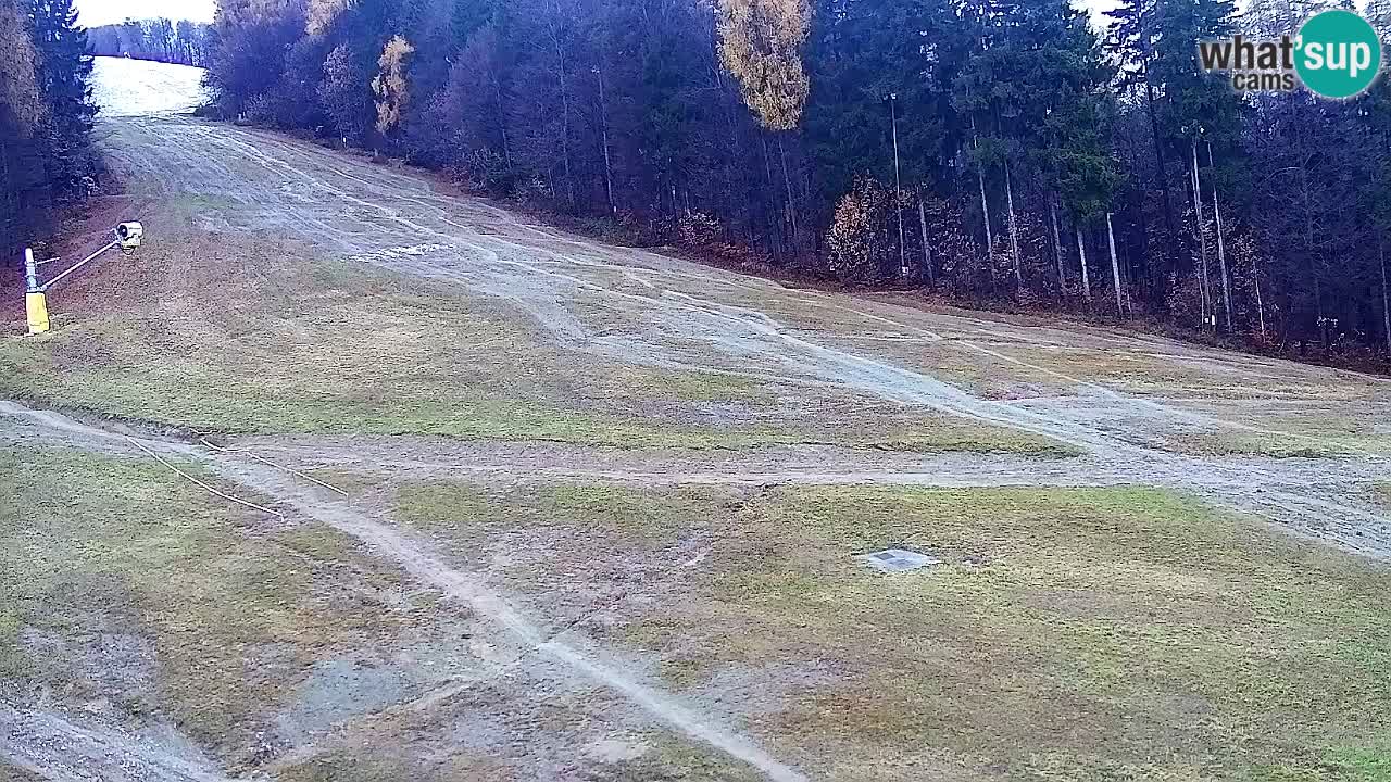Webcam Pohorje Trikotna Jasa | Poštela