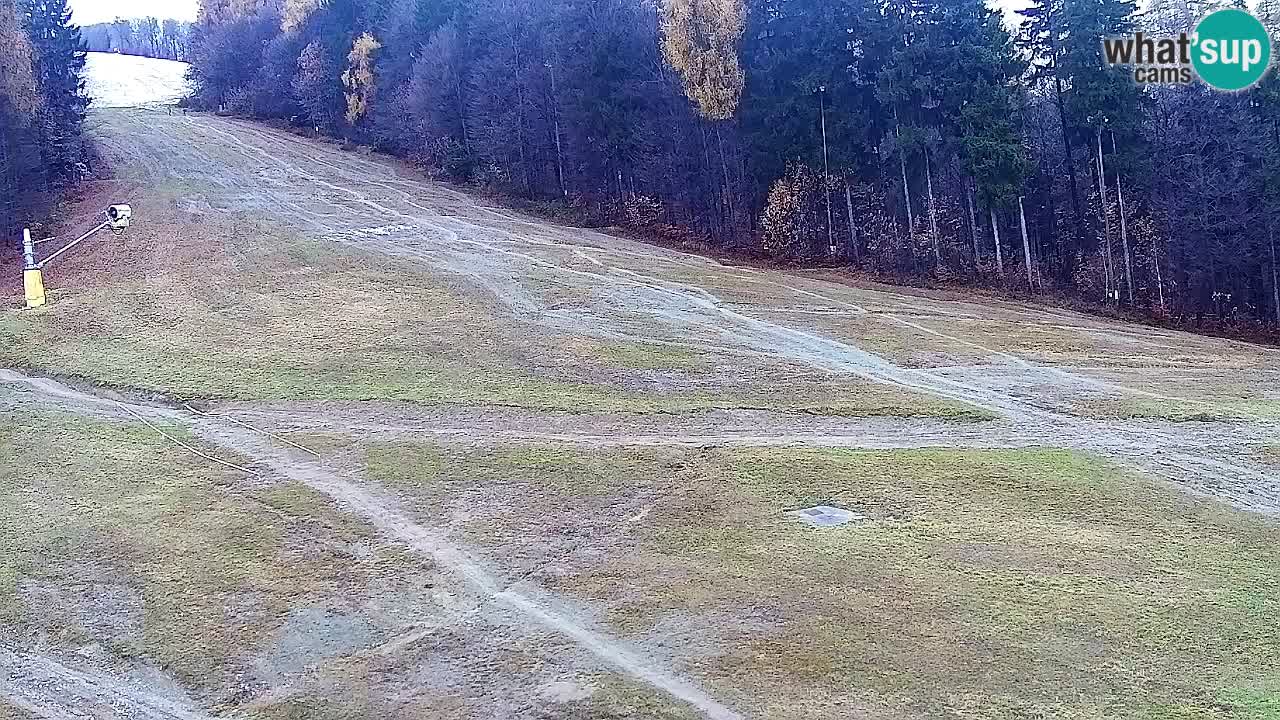 Webcam Pohorje Trikotna Jasa | Poštela