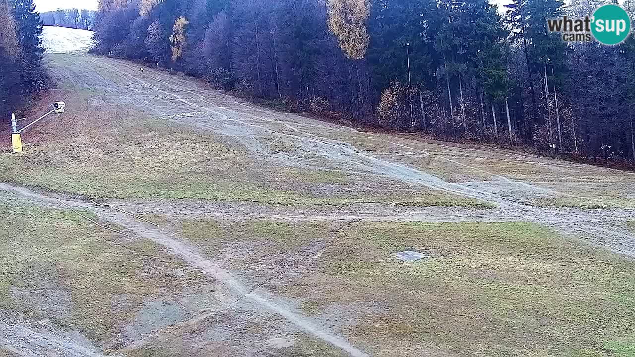 Webcam Pohorje Trikotna Jasa | Poštela