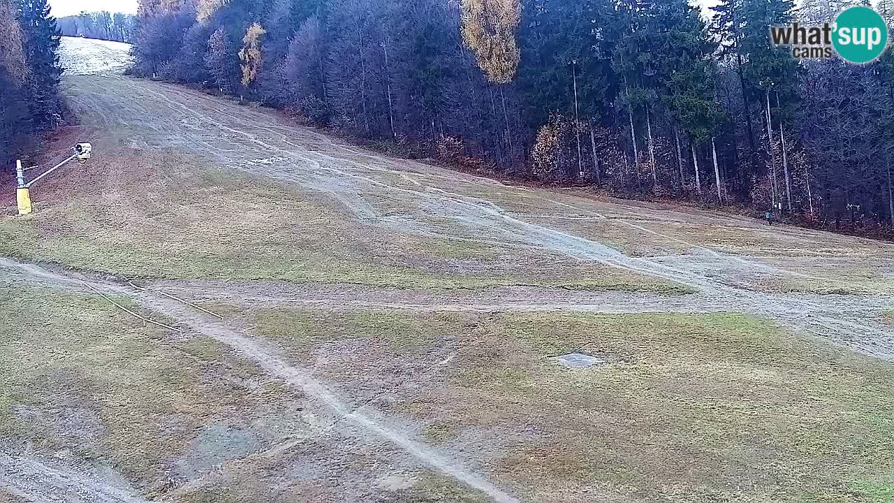Webcam Pohorje Trikotna Jasa | Poštela