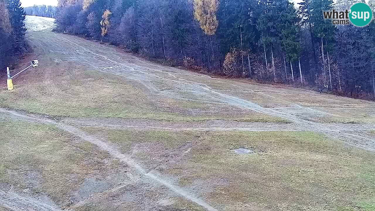 Webcam Pohorje Trikotna Jasa | Poštela