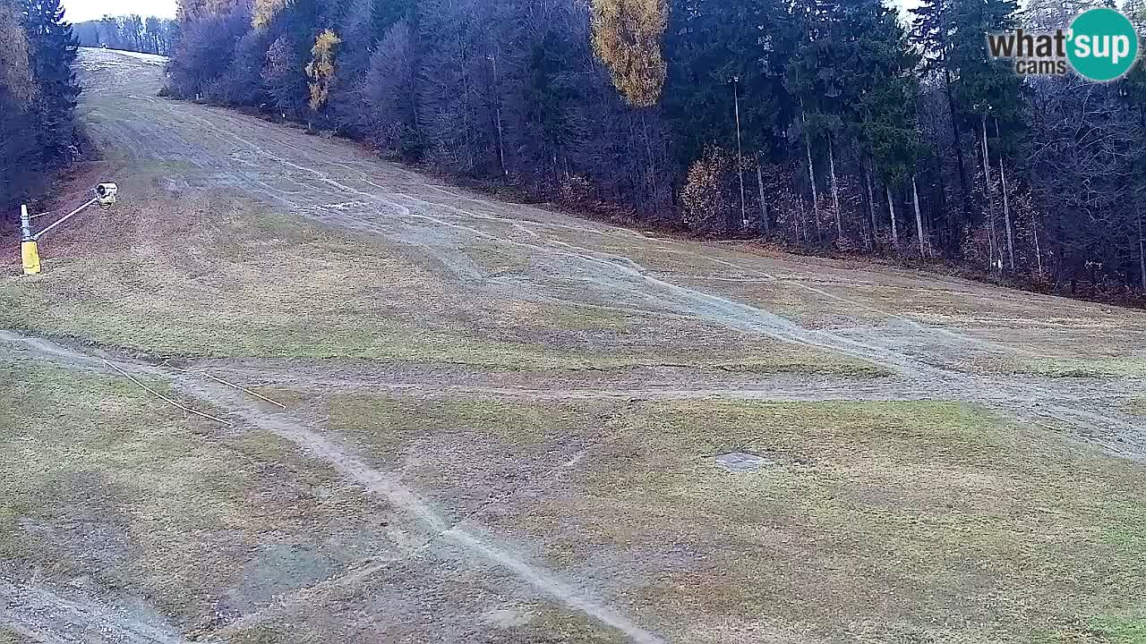 Webcam Pohorje Trikotna Jasa | Poštela