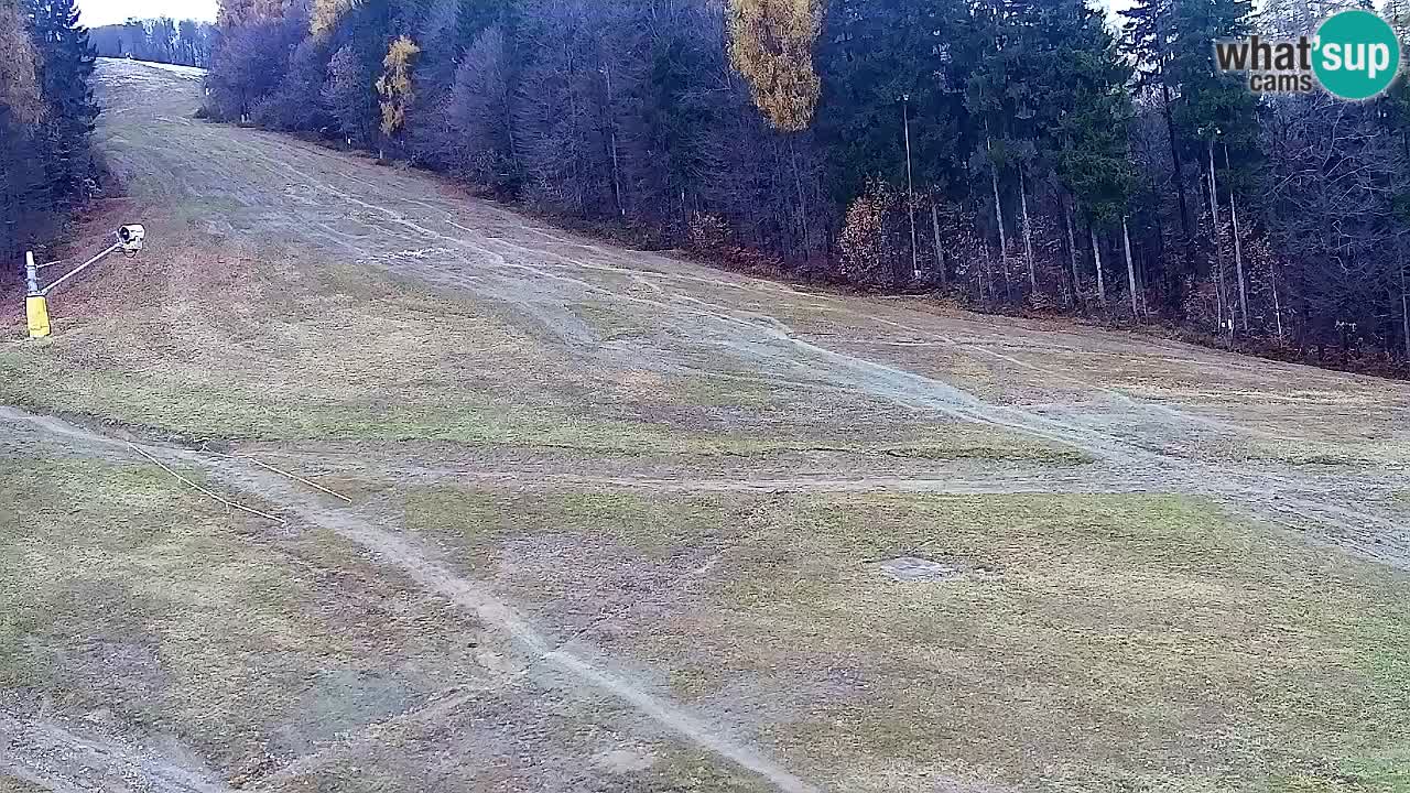 Web Camera Pohorje Trikotna Jasa | Poštela