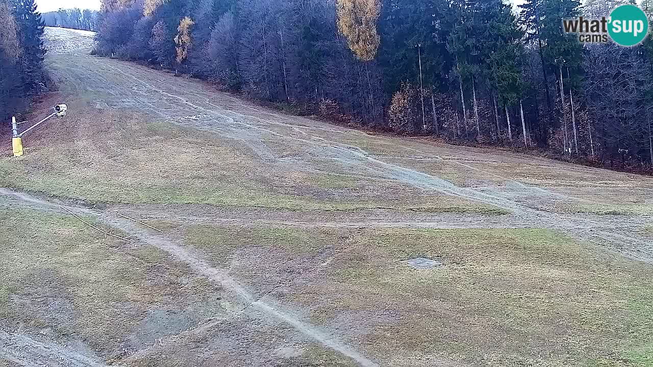 Spletna Kamera Pohorje Trikotna Jasa | Poštela