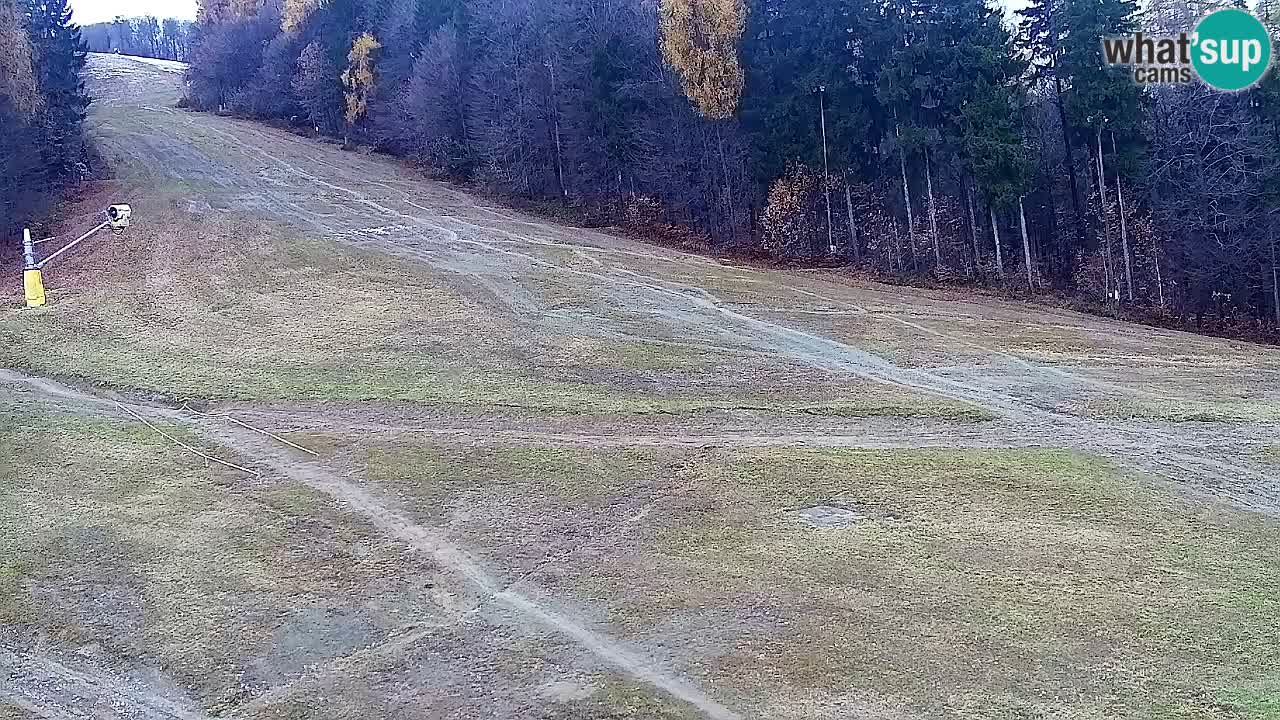 Webcam Pohorje Trikotna Jasa | Poštela