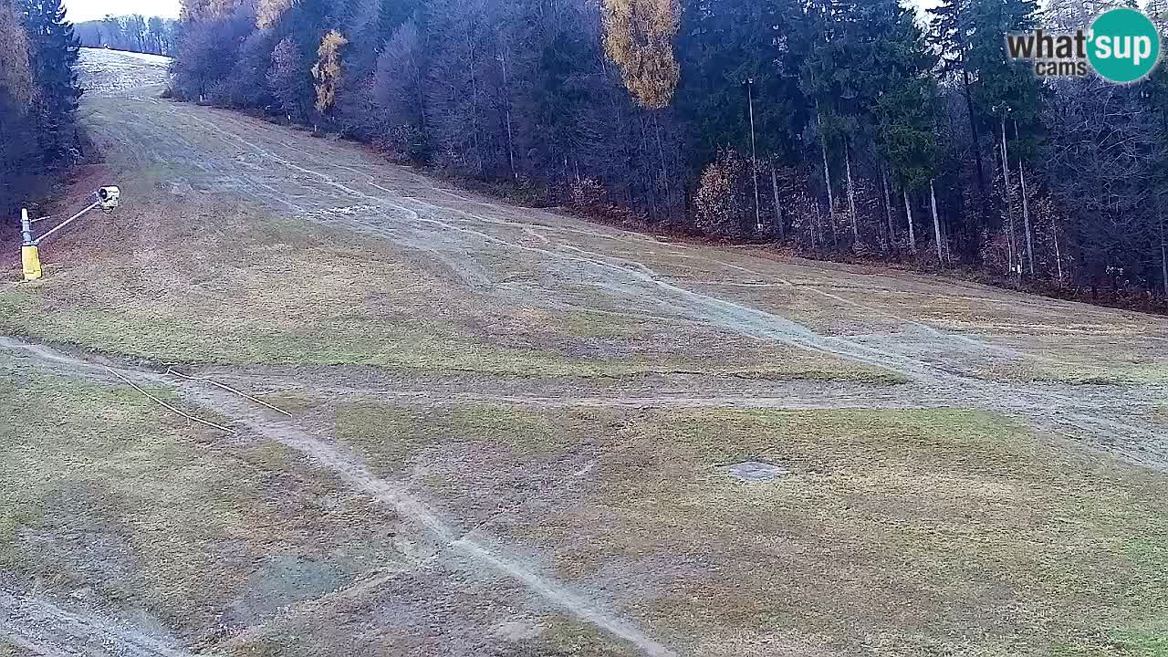 Webcam Pohorje Trikotna Jasa | Poštela