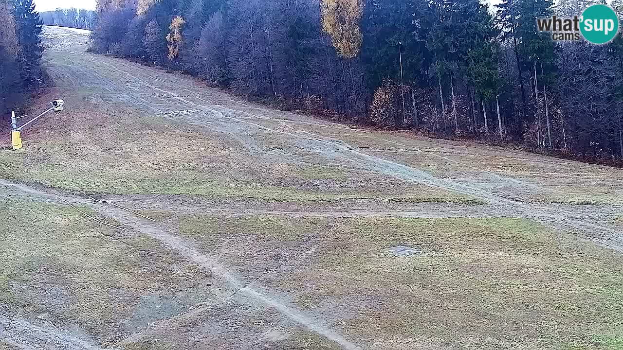 Webcam Pohorje Trikotna Jasa | Poštela