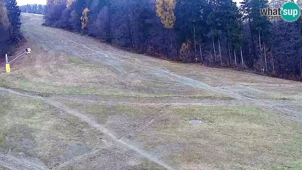 Webcam Pohorje Trikotna Jasa | Poštela