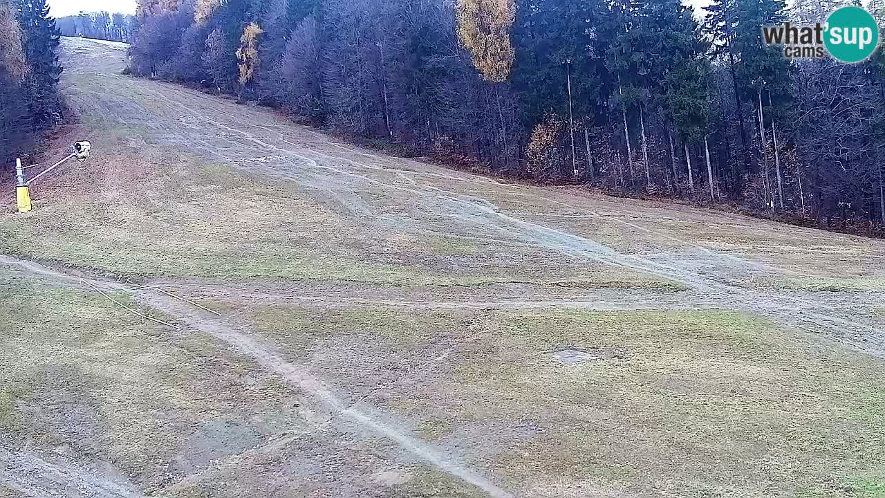 Webcam Pohorje Trikotna Jasa | Poštela