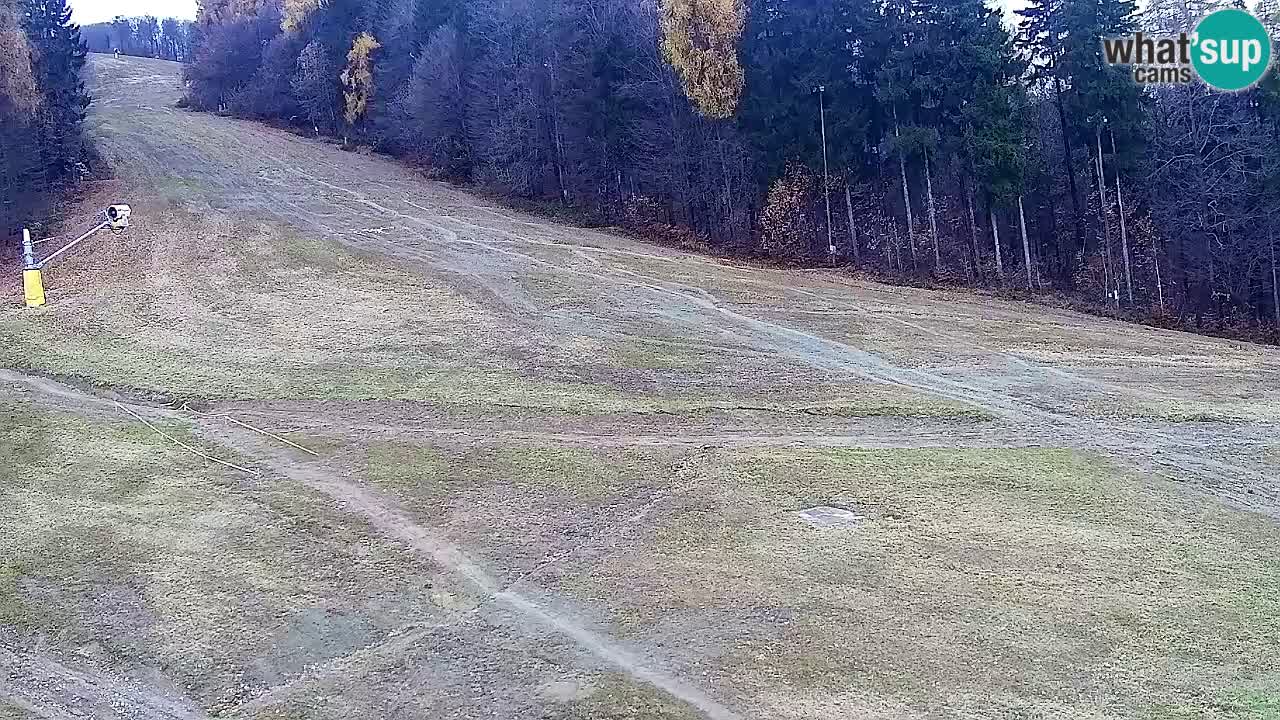 Web Camera Pohorje Trikotna Jasa | Poštela