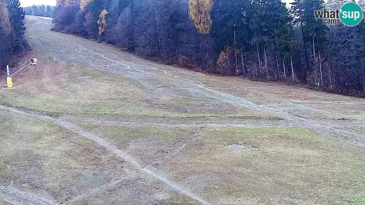 Spletna Kamera Pohorje Trikotna Jasa | Poštela