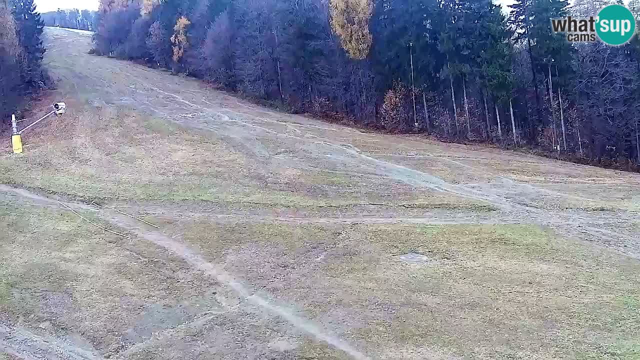 Spletna Kamera Pohorje Trikotna Jasa | Poštela
