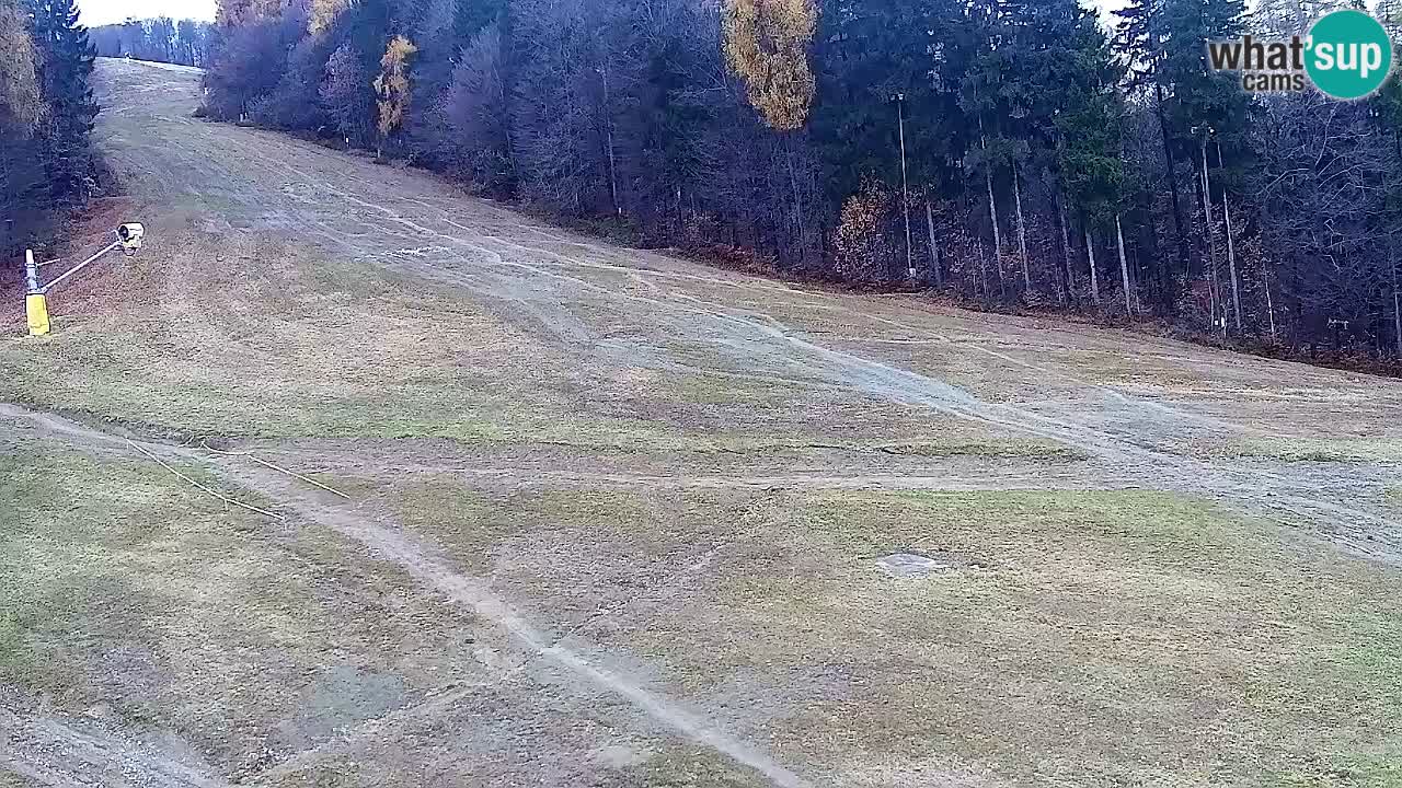 Webcam Pohorje Trikotna Jasa | Poštela