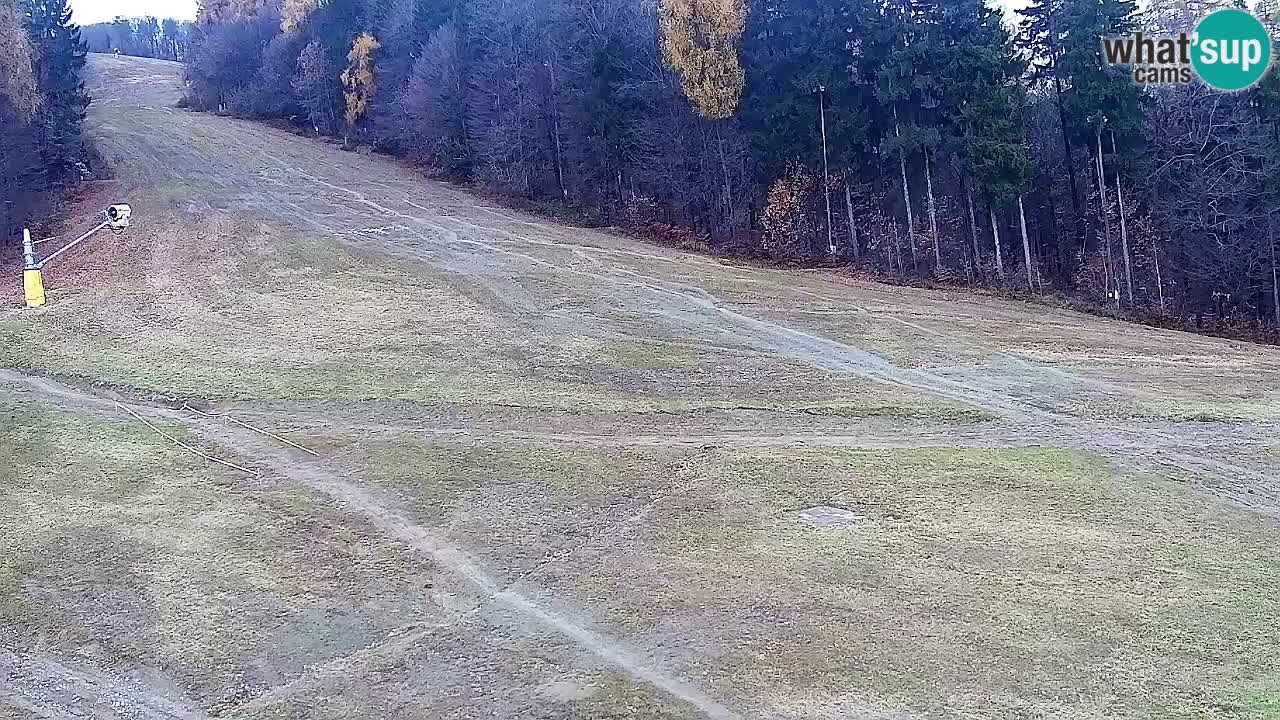 Webcam Pohorje Trikotna Jasa | Poštela