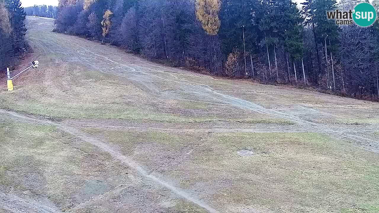 Web Camera Pohorje Trikotna Jasa | Poštela