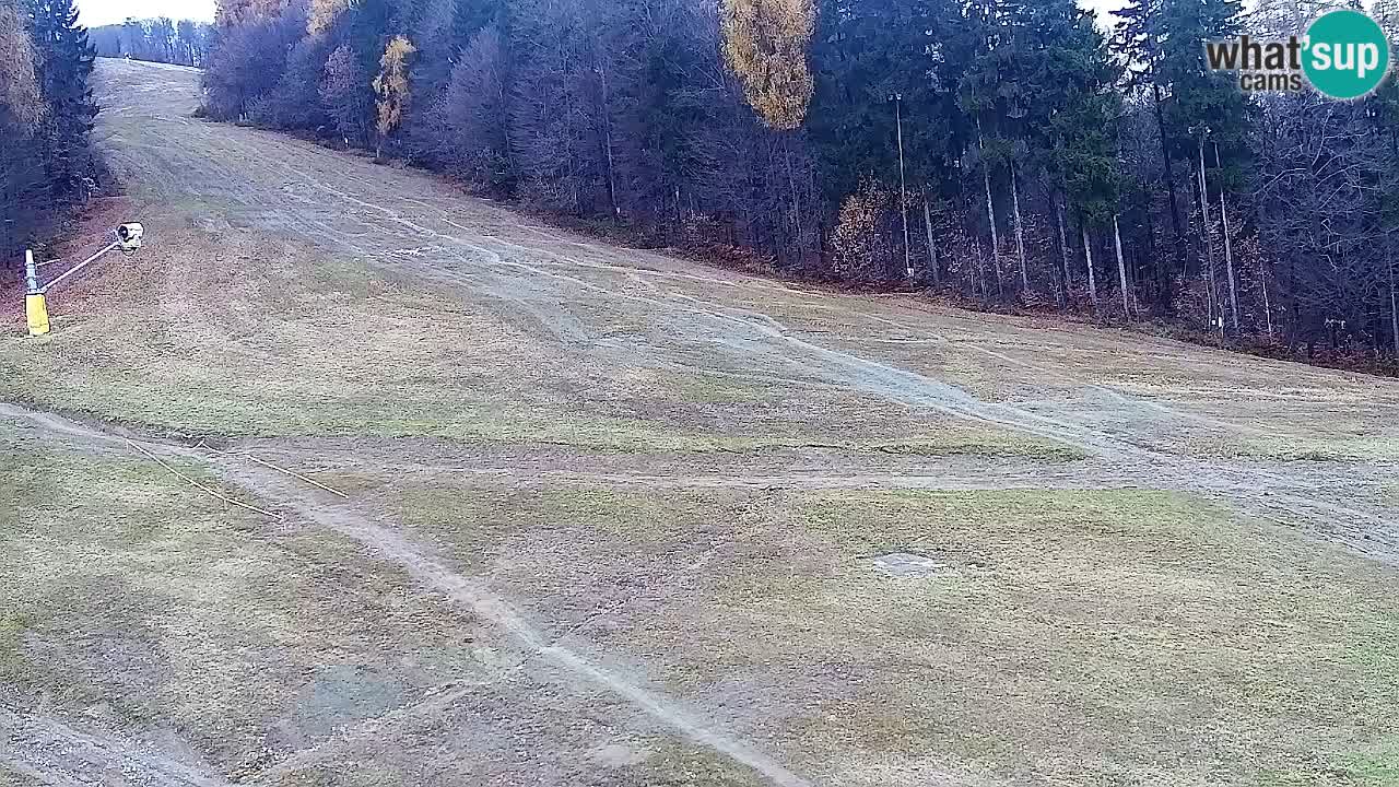 Webcam Pohorje Trikotna Jasa | Poštela