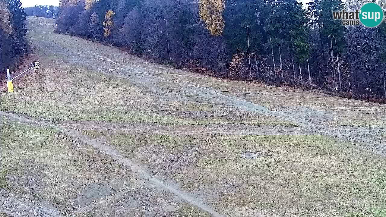 Webcam Pohorje Trikotna Jasa | Poštela