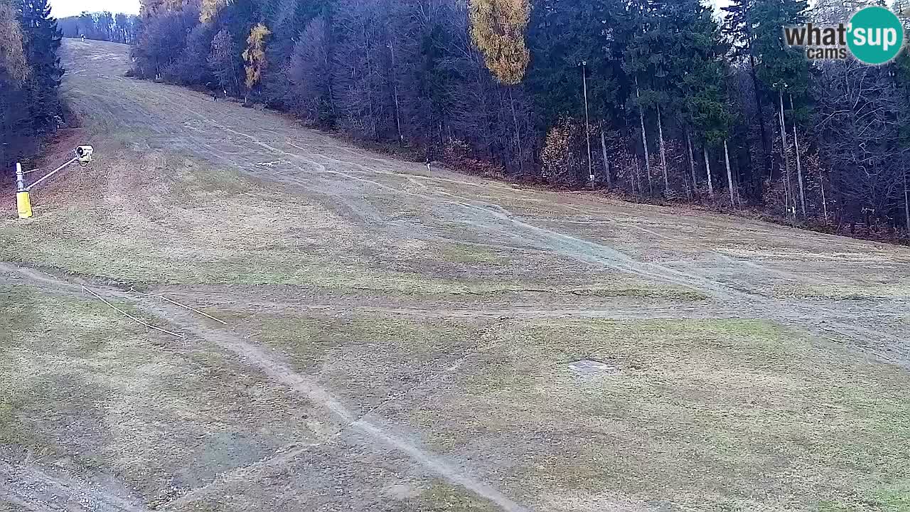 Spletna Kamera Pohorje Trikotna Jasa | Poštela