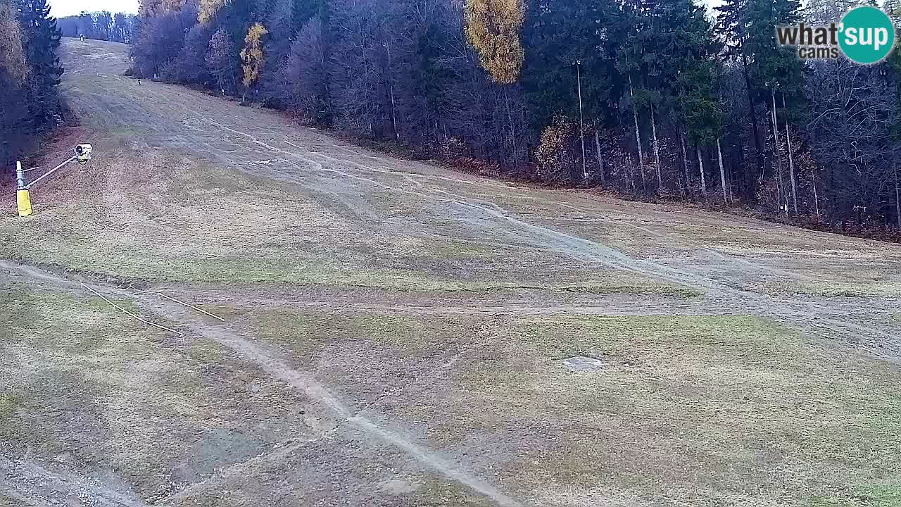 Web Camera Pohorje Trikotna Jasa | Poštela