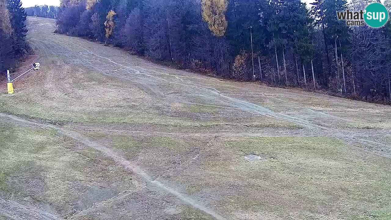Webcam Pohorje Trikotna Jasa | Poštela