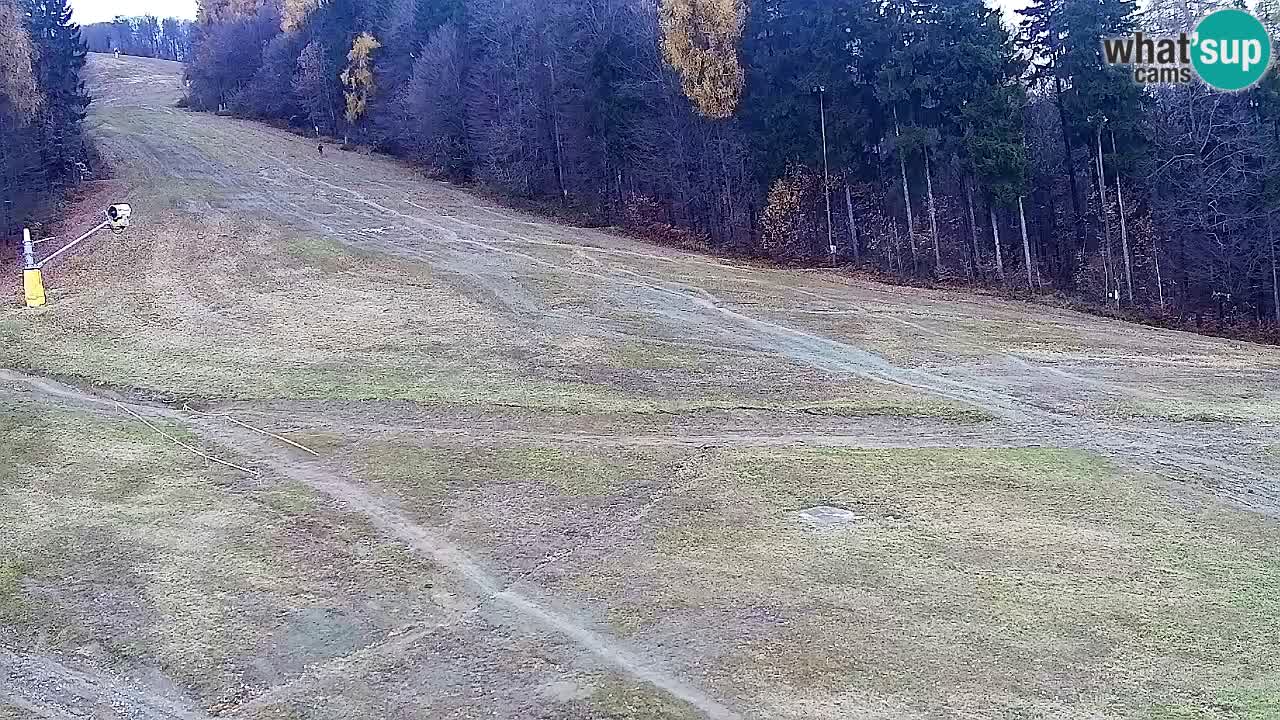 Spletna Kamera Pohorje Trikotna Jasa | Poštela