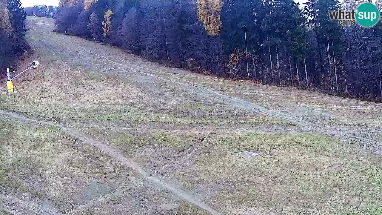 Spletna Kamera Pohorje Trikotna Jasa | Poštela