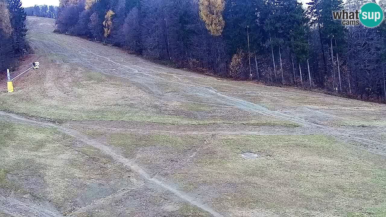 Web kamera Pohorje Trikotna Jasa | Poštela