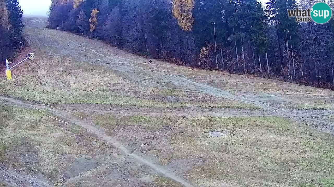 Spletna Kamera Pohorje Trikotna Jasa | Poštela