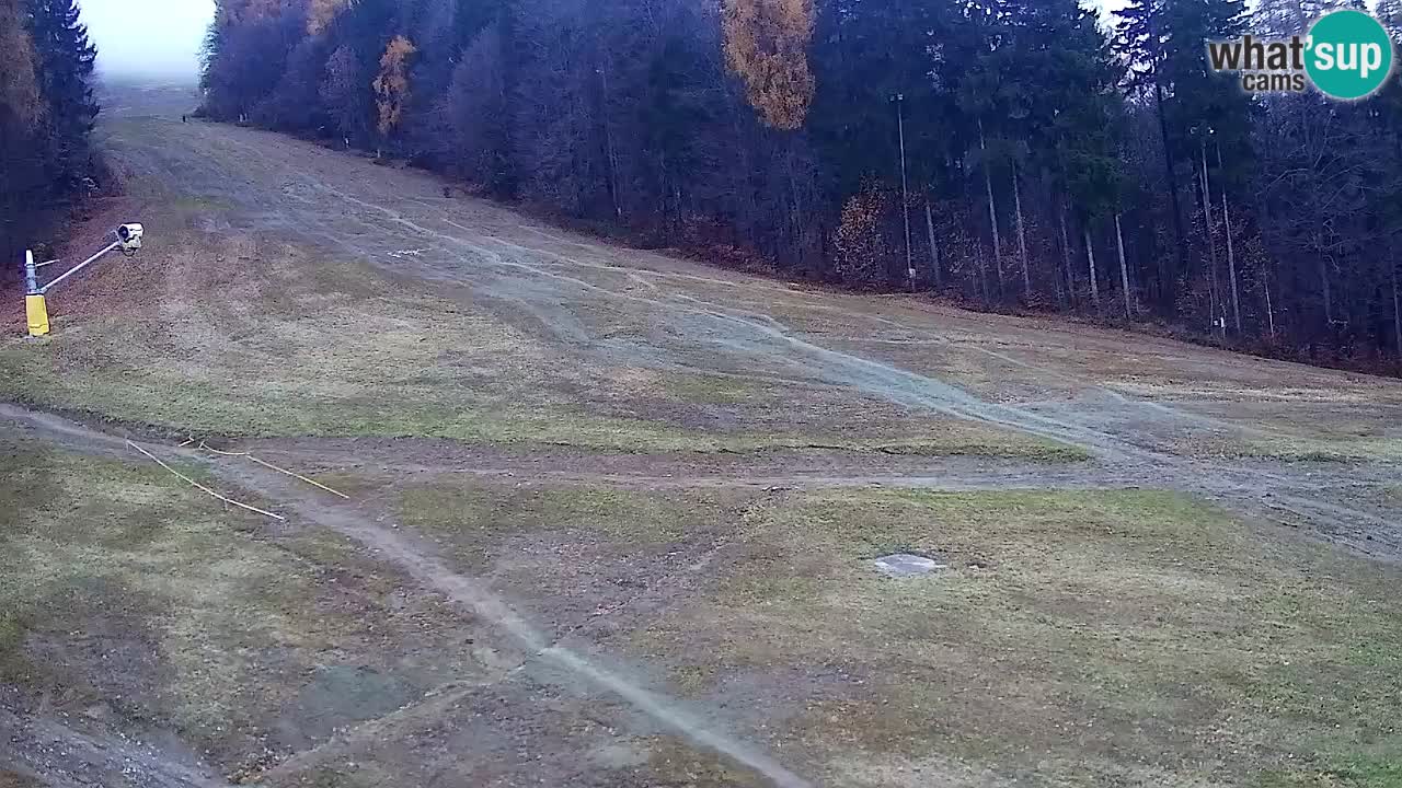 Webcam Pohorje Trikotna Jasa | Poštela