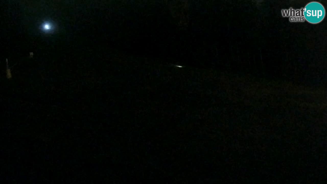 Webcam Pohorje Trikotna Jasa | Poštela