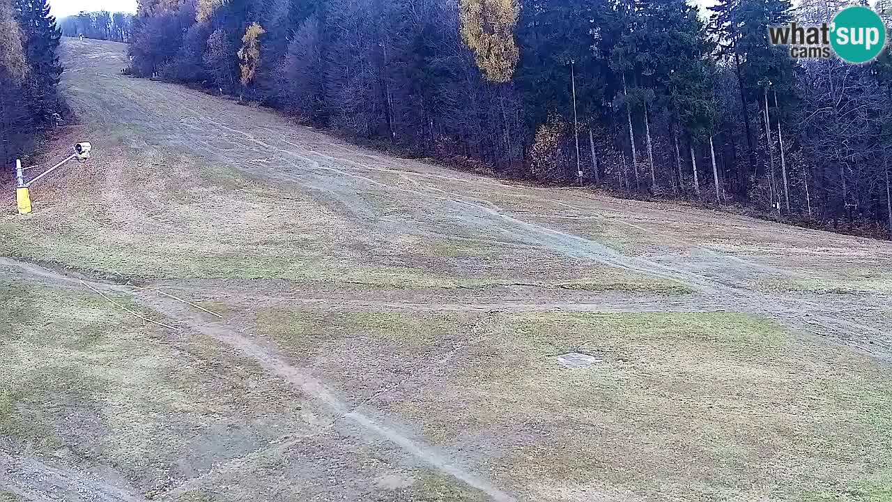 Spletna Kamera Pohorje Trikotna Jasa | Poštela