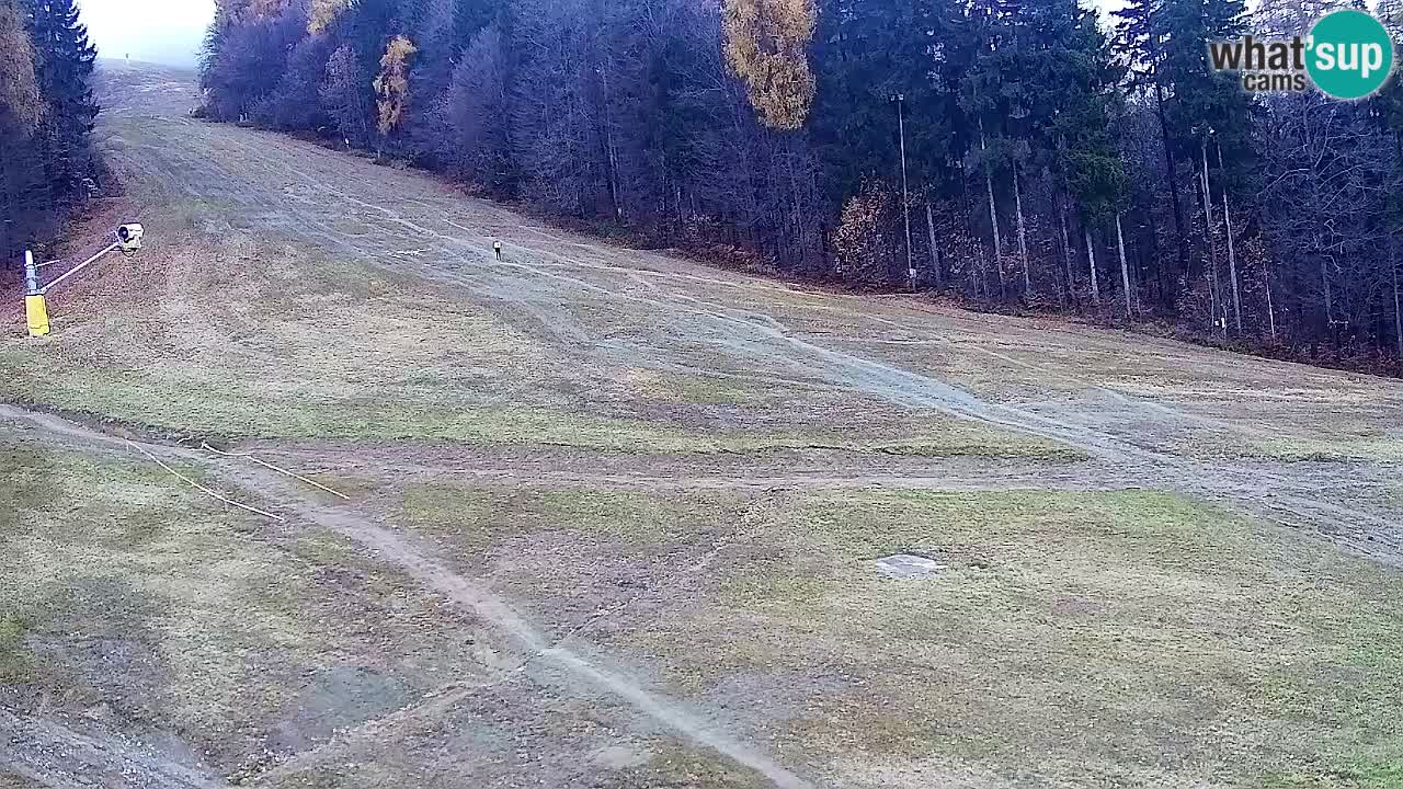 Webcam Pohorje Trikotna Jasa | Poštela