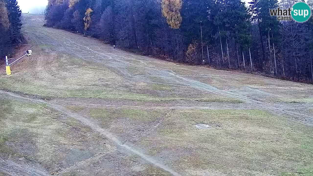 Web kamera Pohorje Trikotna Jasa | Poštela