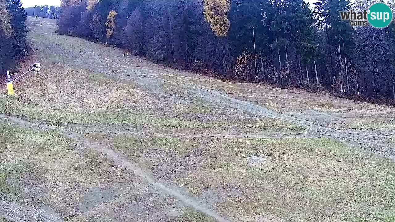 Webcam Pohorje Trikotna Jasa | Poštela