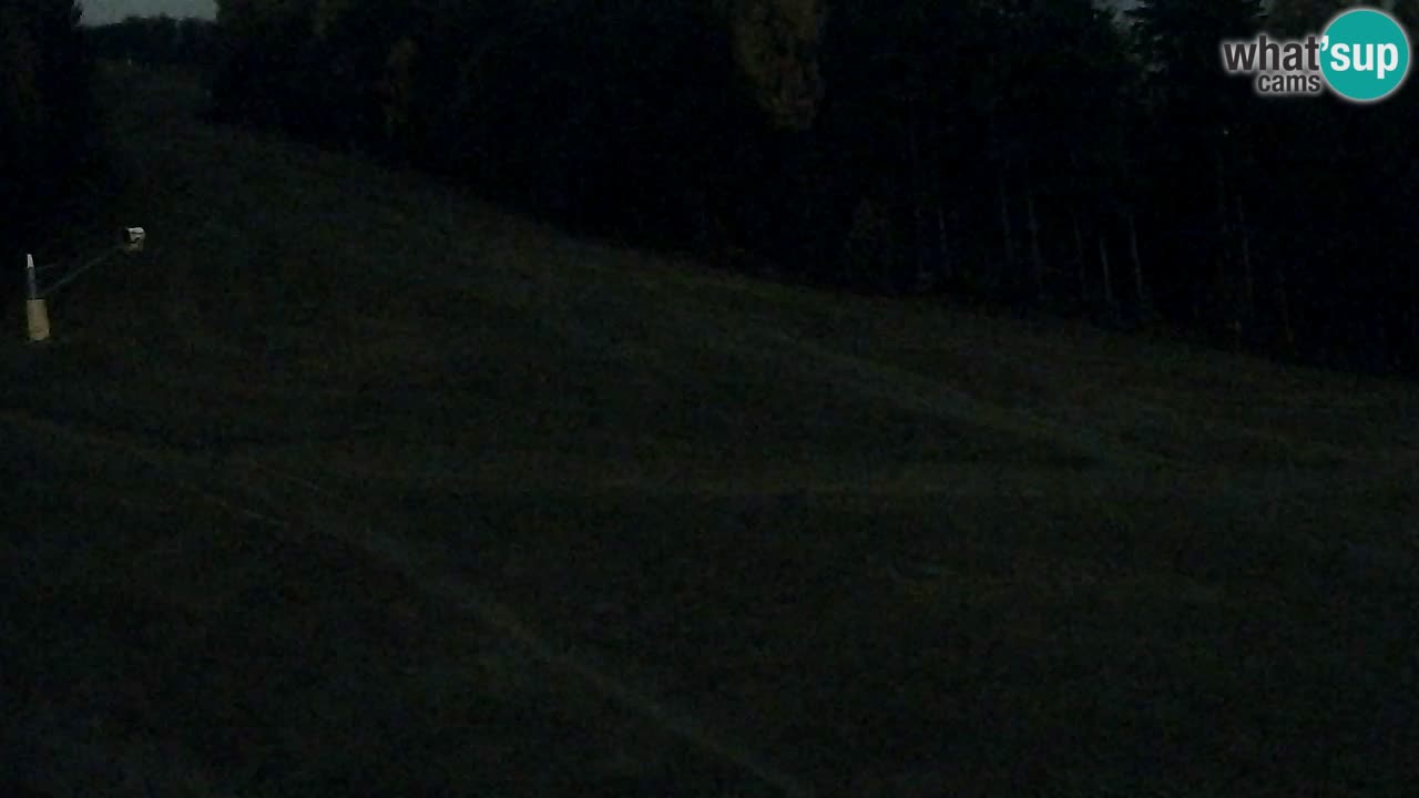 Webcam Pohorje Trikotna Jasa | Poštela