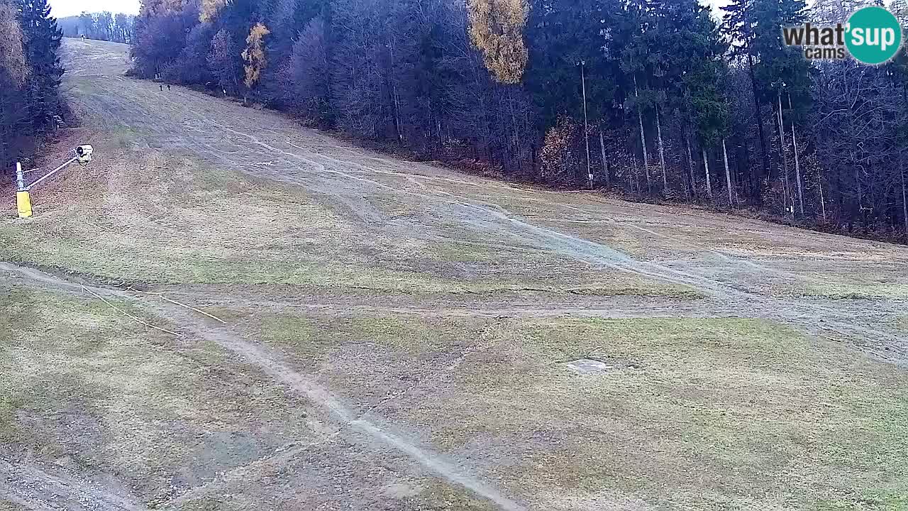 Web kamera Pohorje Trikotna Jasa | Poštela