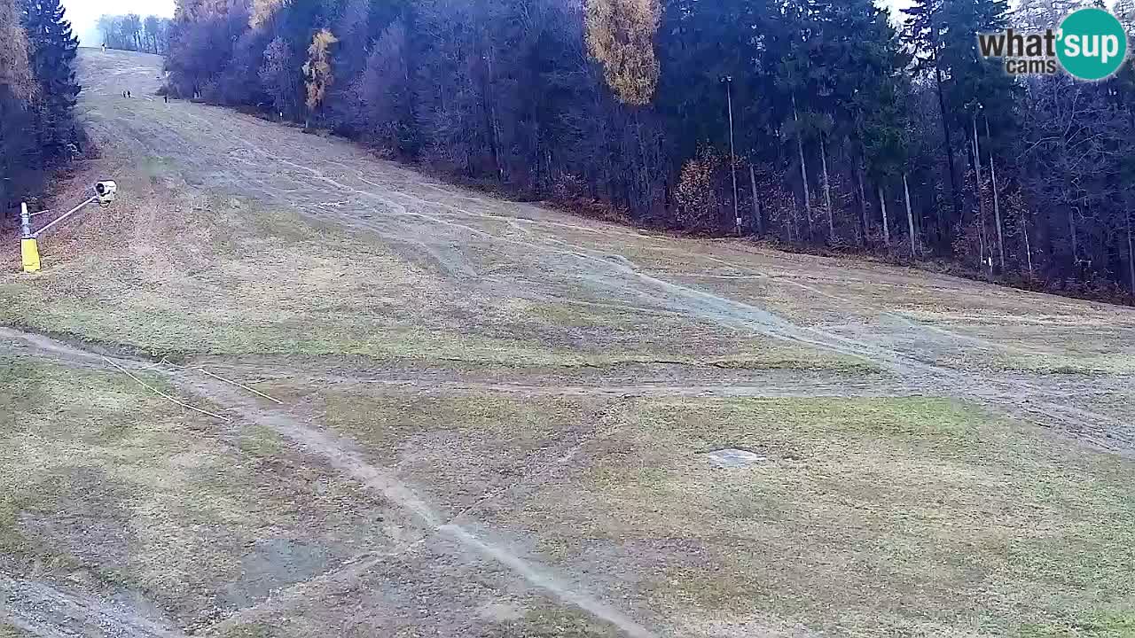 Spletna Kamera Pohorje Trikotna Jasa | Poštela