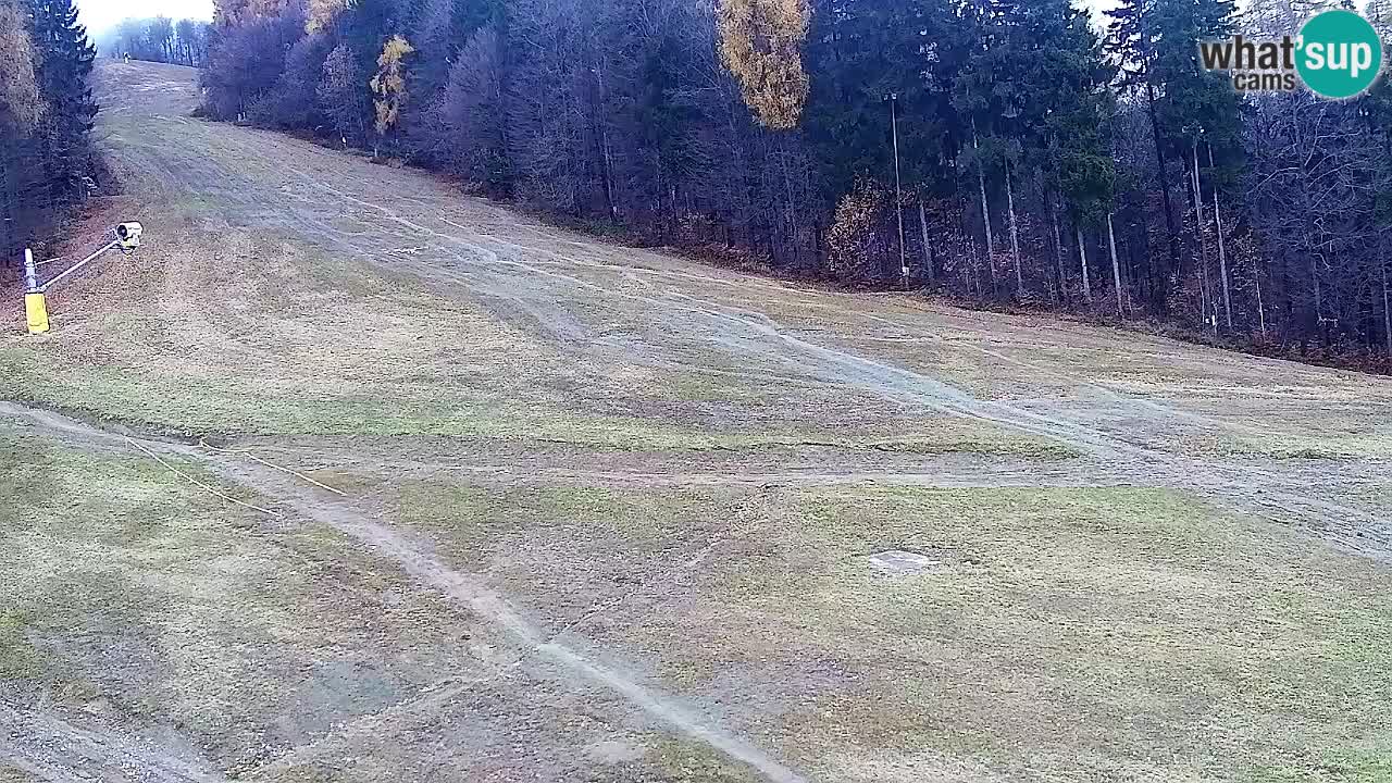 Web Camera Pohorje Trikotna Jasa | Poštela