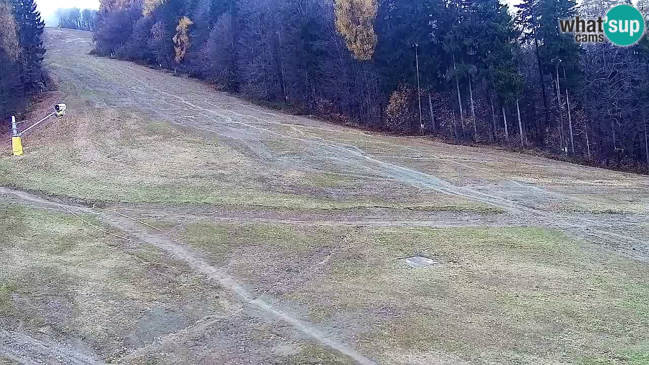 Spletna Kamera Pohorje Trikotna Jasa | Poštela