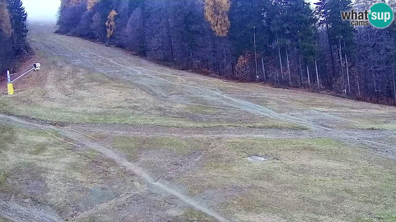 Webcam Pohorje Trikotna Jasa | Poštela