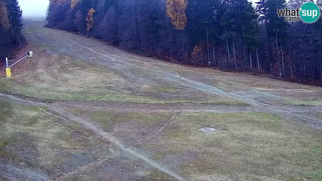 Webcam Pohorje Trikotna Jasa | Poštela