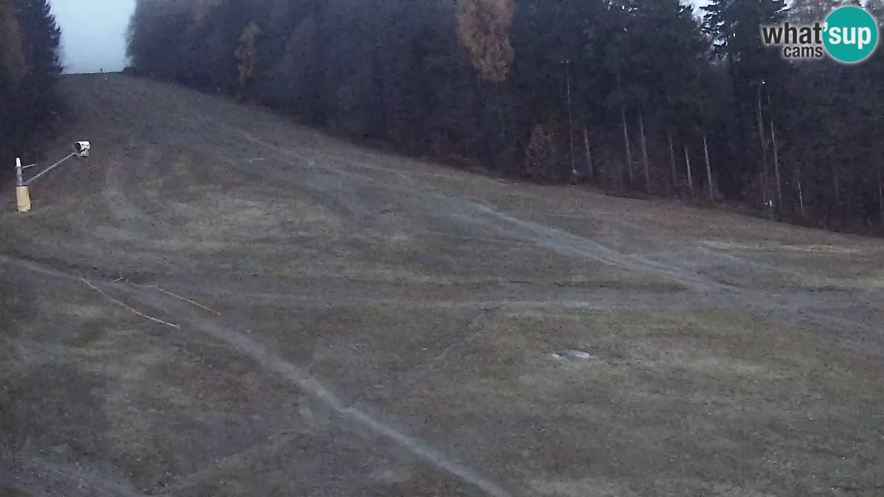 Web Camera Pohorje Trikotna Jasa | Poštela