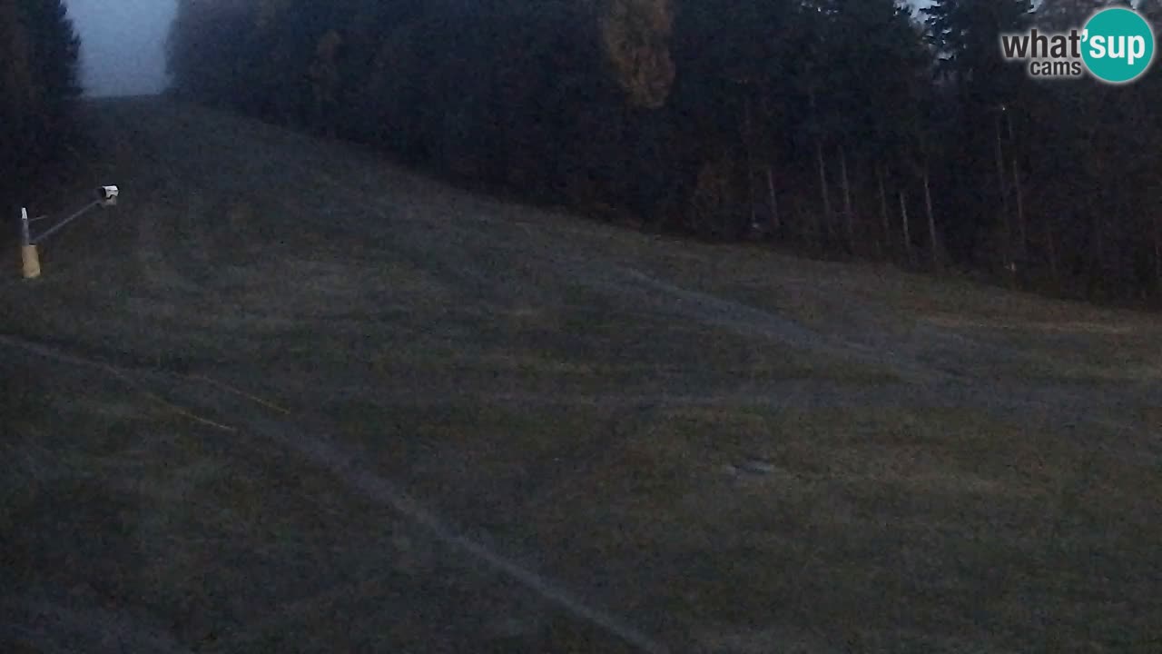 Webcam Pohorje Trikotna Jasa | Poštela